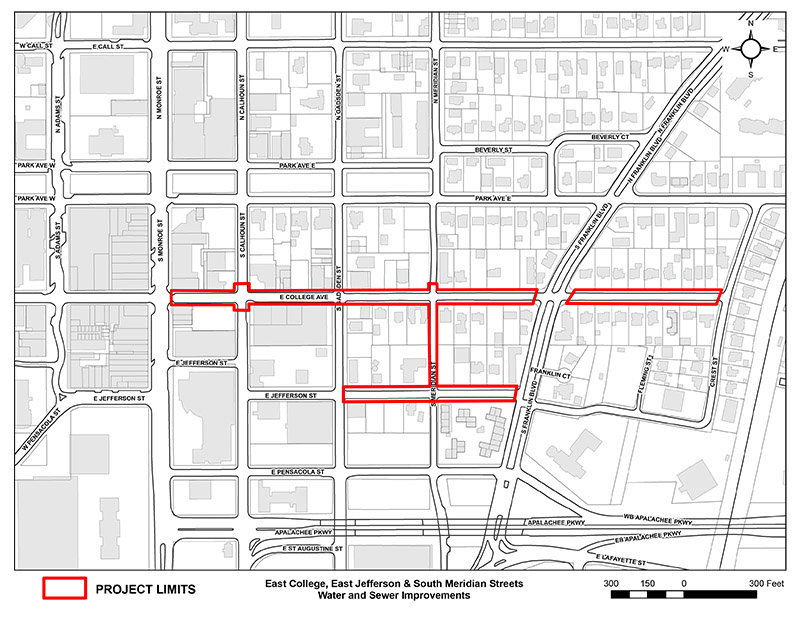 A map of the project area.