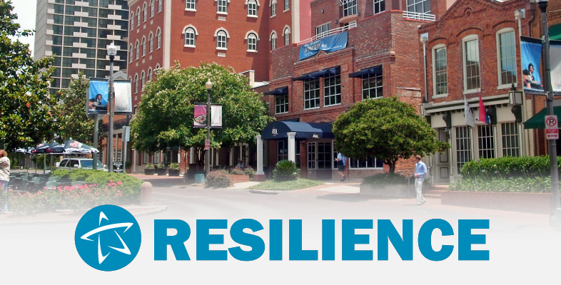 Resilience Slide Image